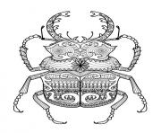 adulte zentangle scarabee par bimdeedee  dessin à colorier